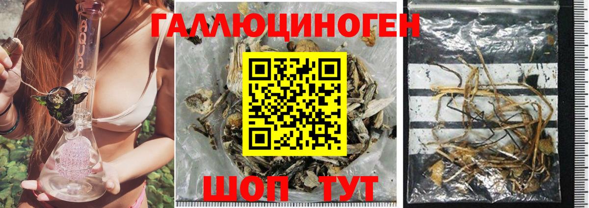 Россошь  Галлюциногенные грибы Magic Shrooms  купить  цена  Вход с VPN  Псилоцибиновые грибы Magic Shrooms 